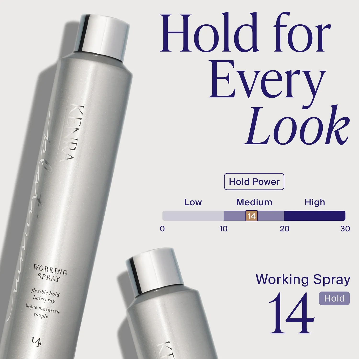 Kenra Platinum Working Spray 14 Hairspray Flexible Hold