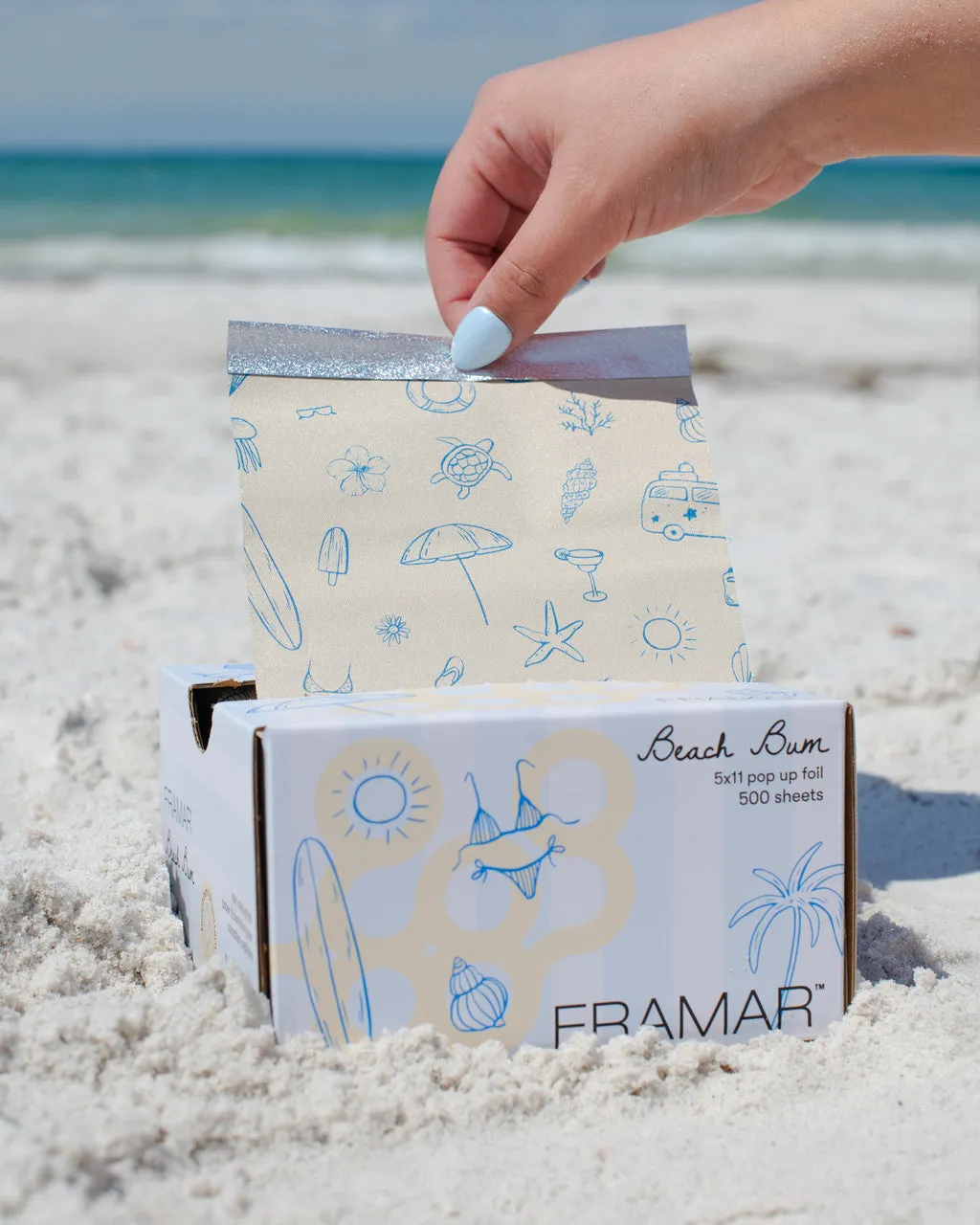 Framar Beach Bundle Hair Color Kit Foil Brush Board Set