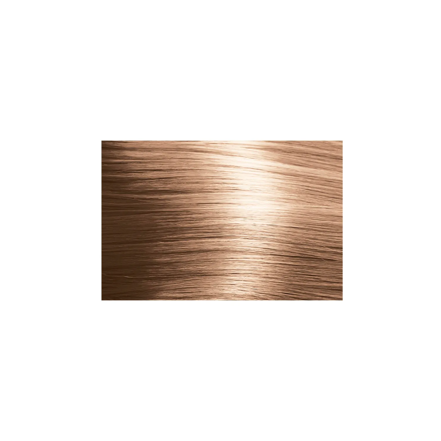 Oligo Professionnel Calura Permanent Brown Series 8/B Colour