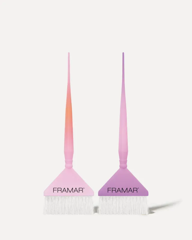 Framar Aurascope Root Repair Tint Brush Set 2 Pack AccuSoft