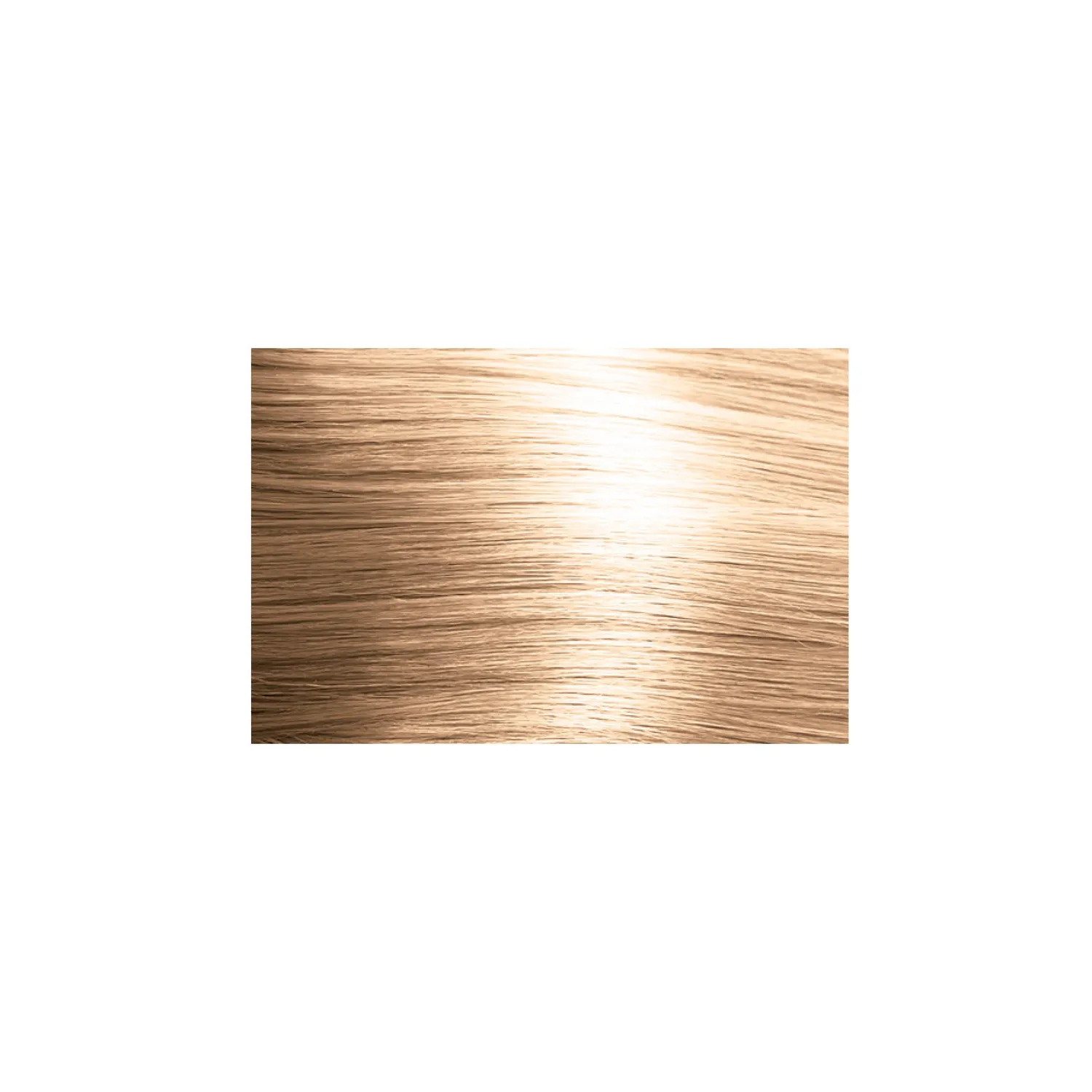 Oligo Professionnel Calura Permanent Brown Series 8/B Colour