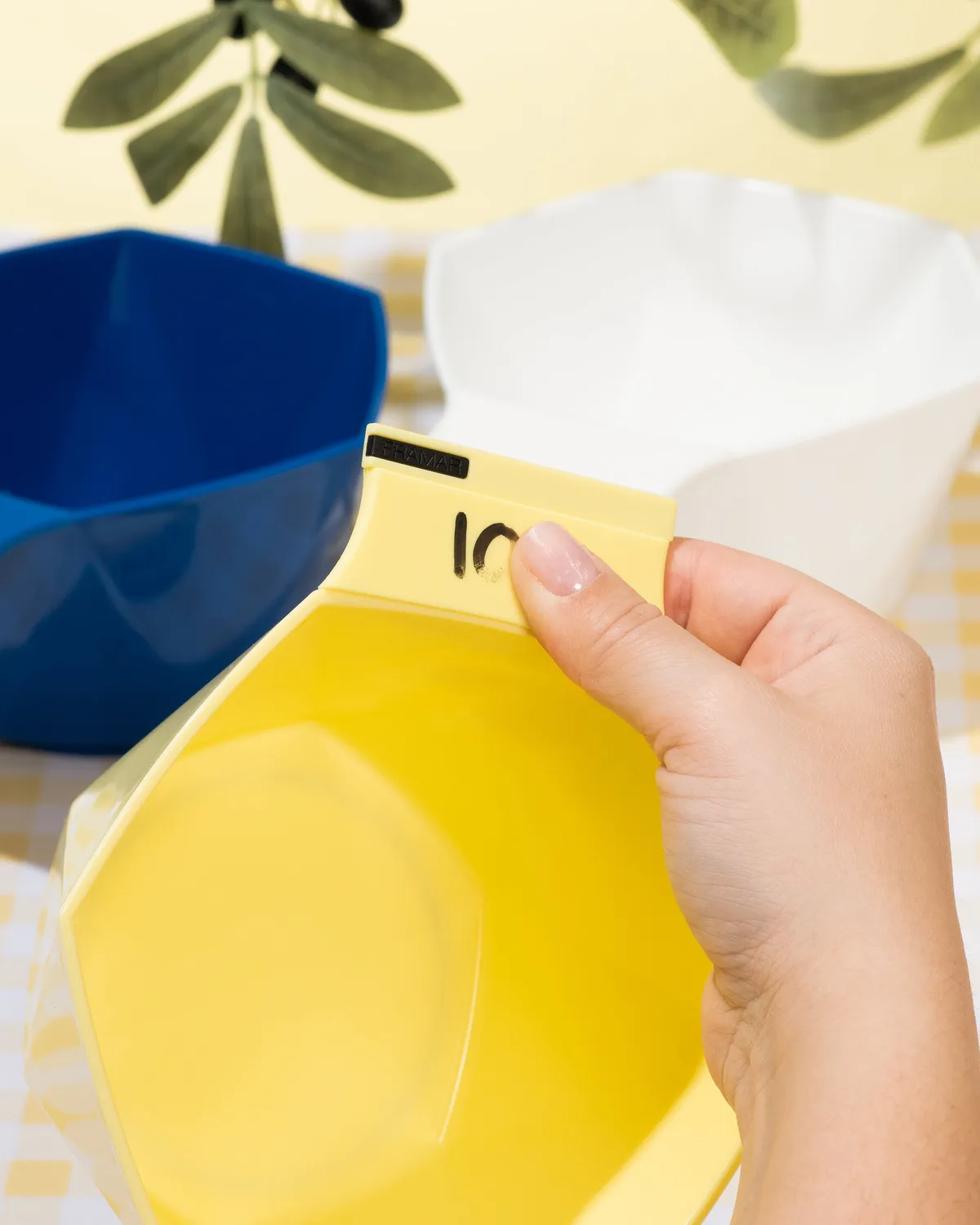 Framar Limoncello Write N Wipe Color Bowls 3 Pack Deep