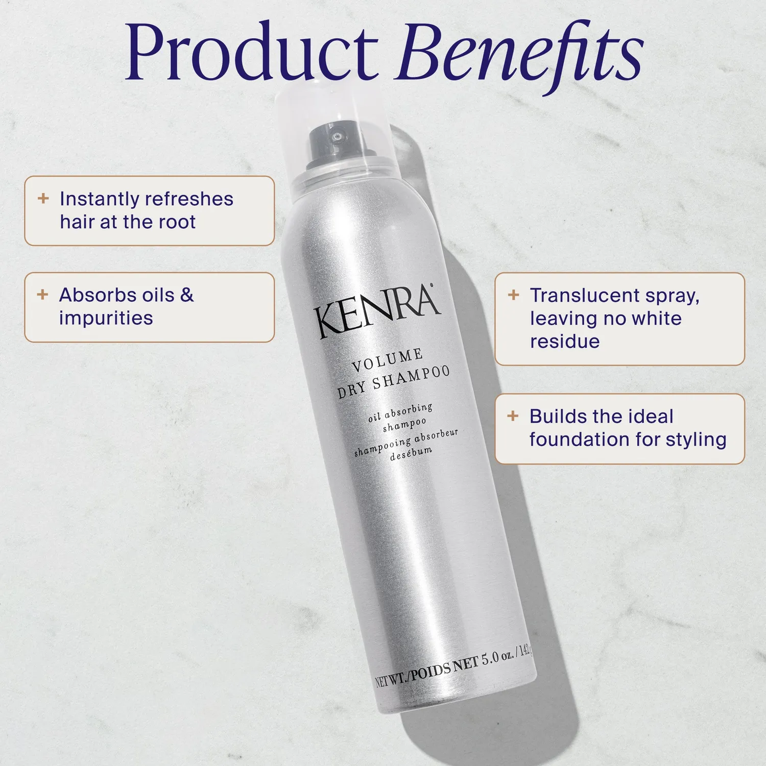 Kenra Volume Dry Shampoo Spray Oil Absorbing