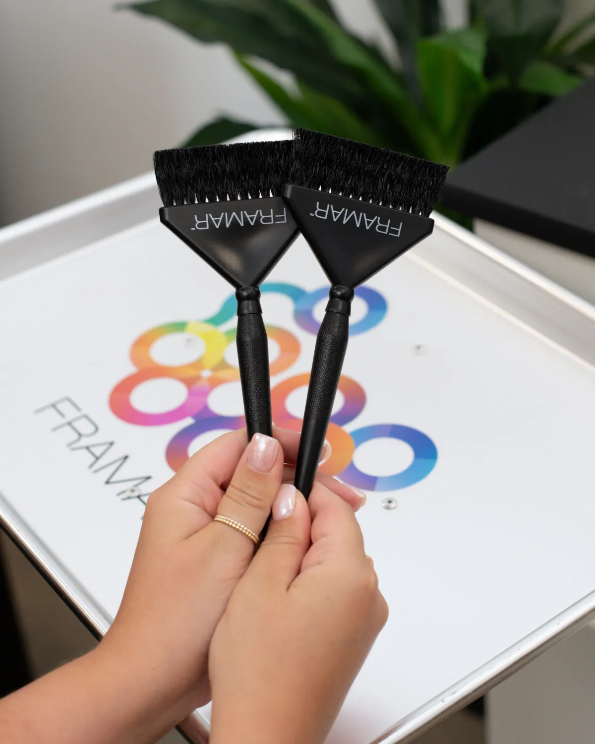 Framar Root Repair Color Brush Set Tint Brushes 2 Pack