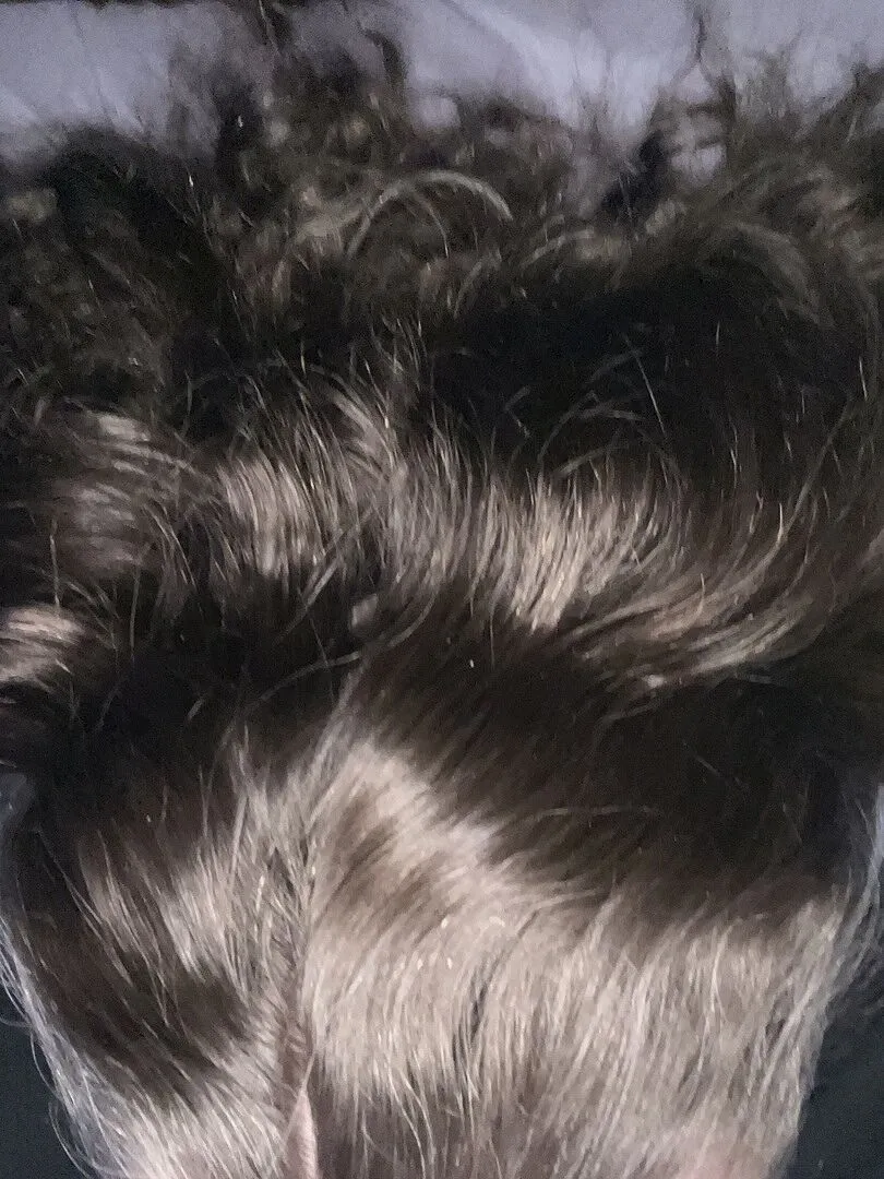 Kenra Professional Volume Mousse 12 Hair Mousse 8 oz Medium Hold