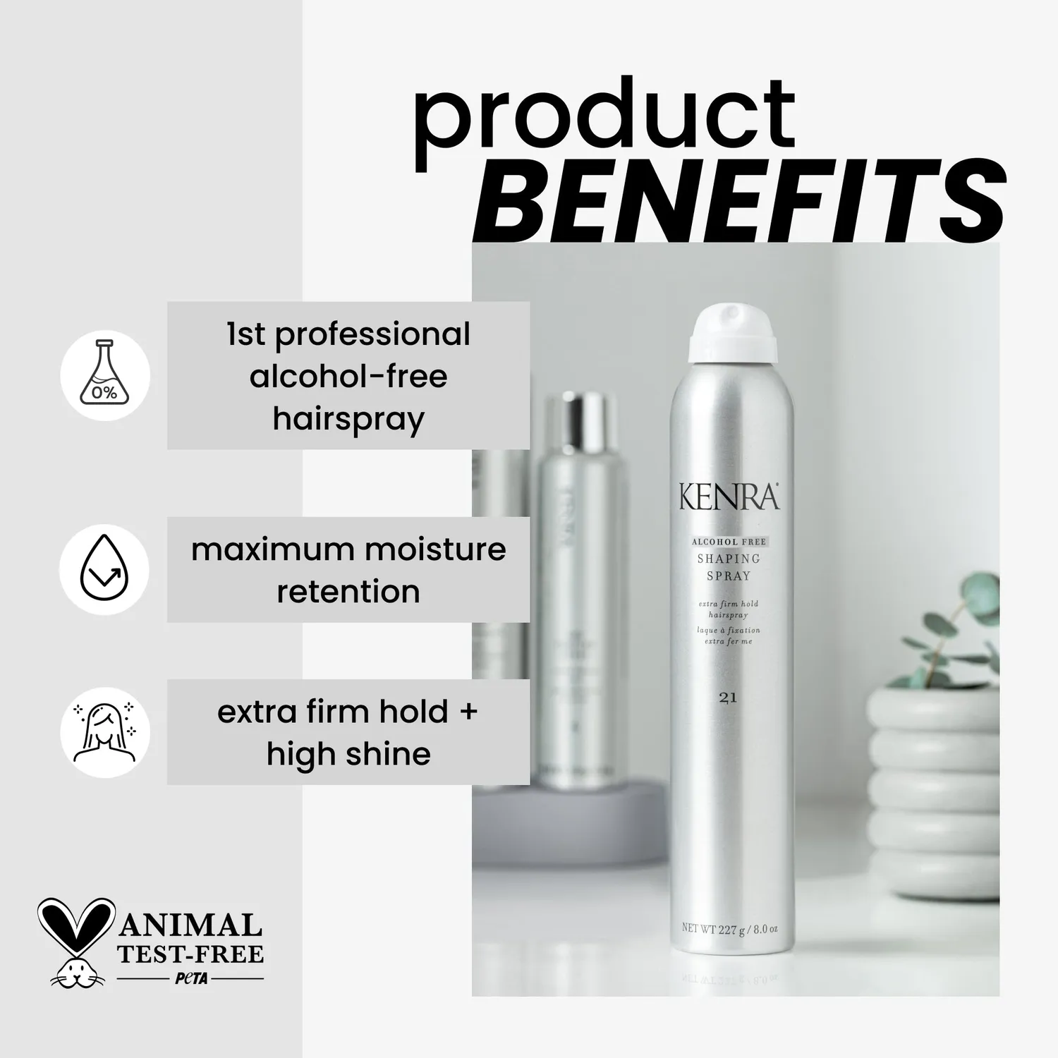 Kenra Professional Shaping Spray 21 Hairspray Alcohol Free