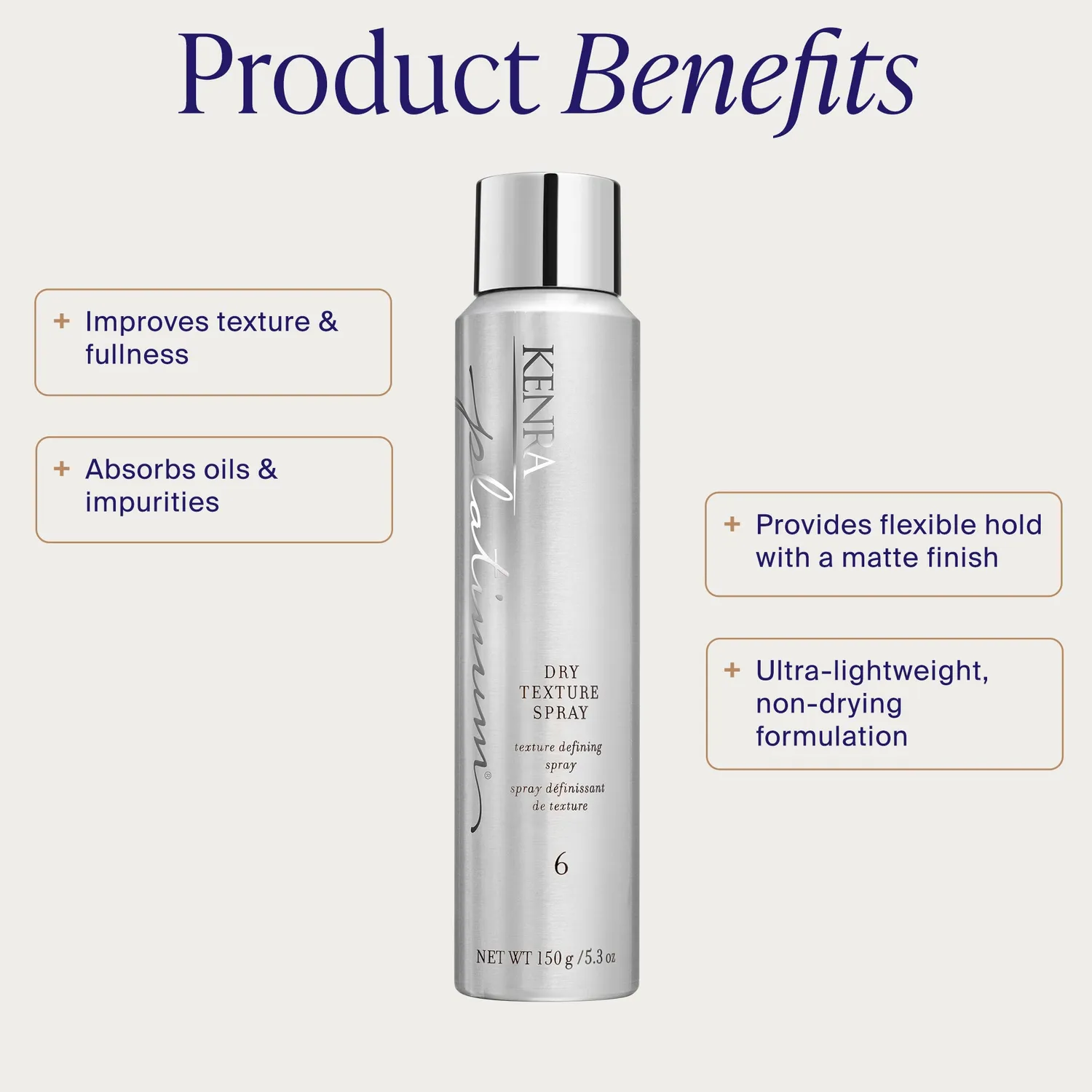 Kenra Platinum Dry Texture Spray 6 texture spray