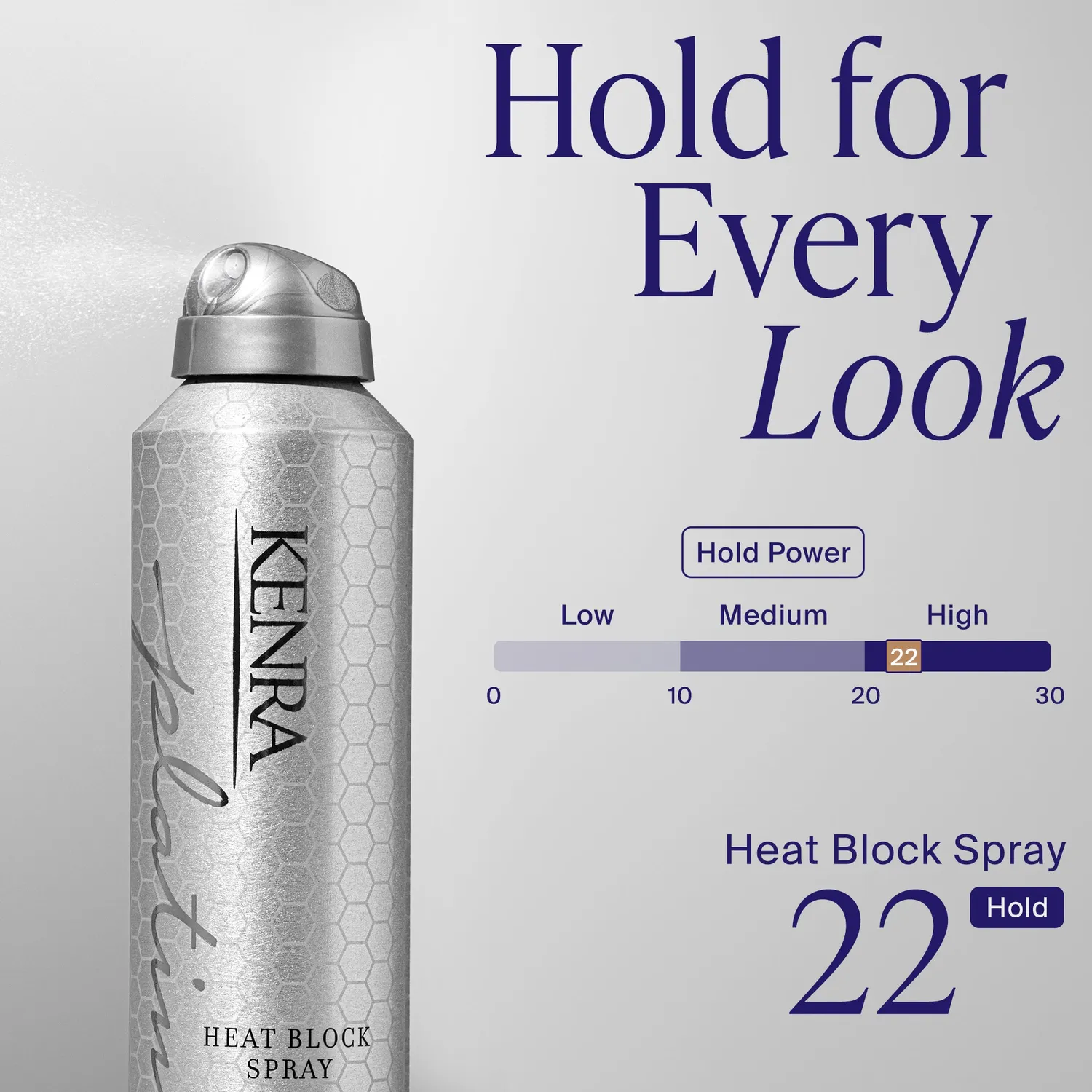 Kenra Platinum Heat Block Spray 22 Hairspray High Hold