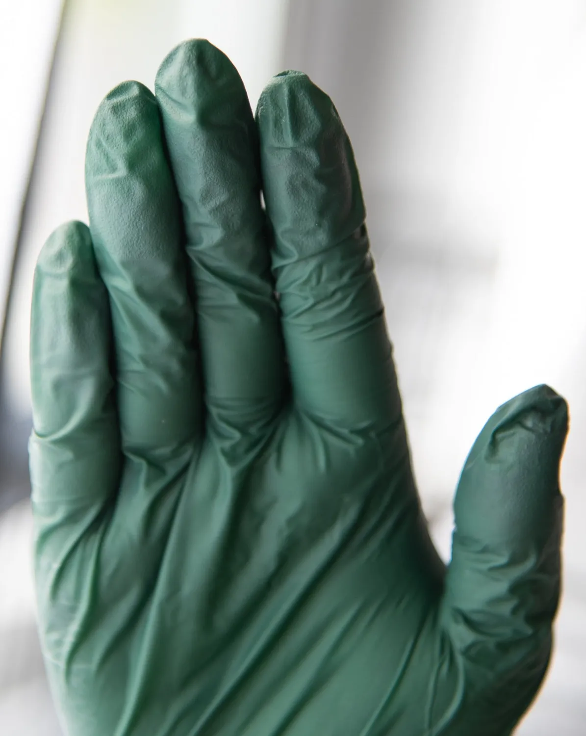 Framar Pine Palms Nitrile Gloves 100 Count Green