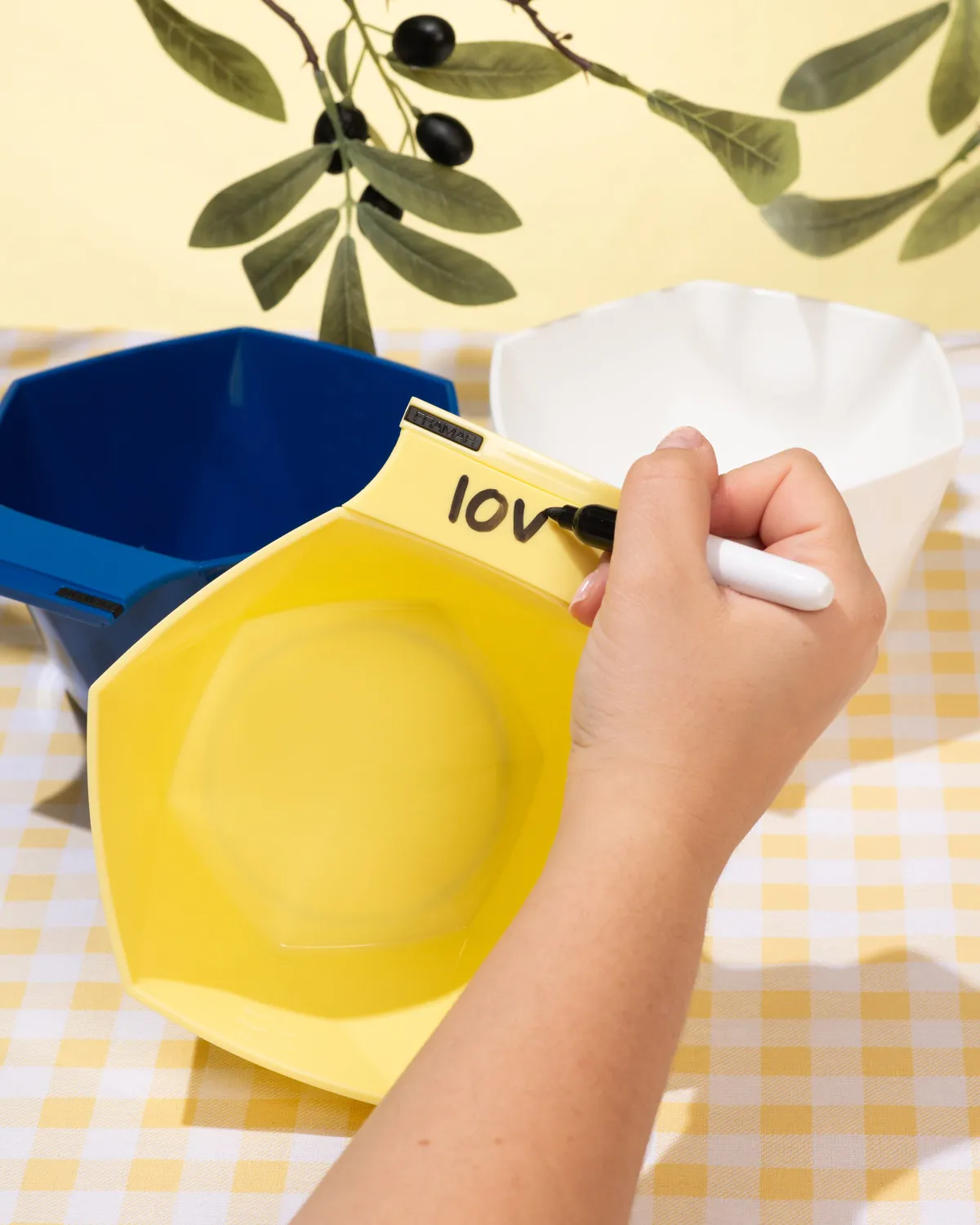 Framar Limoncello Write N Wipe Color Bowls 3 Pack Deep