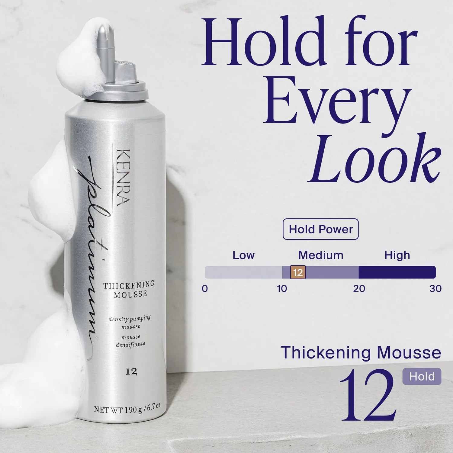 Kenra Professional Platinum Thickening Mousse 12 Body