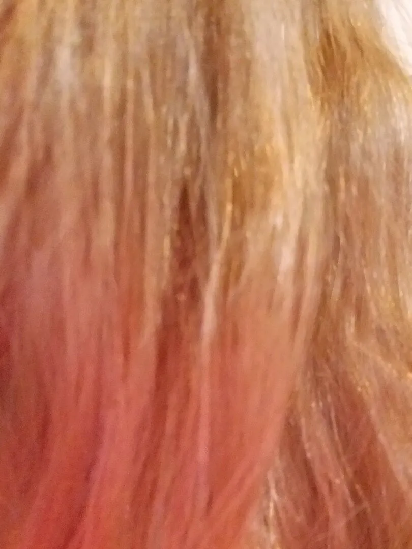 Kenra Volume Dry Shampoo Spray Oil Absorbing